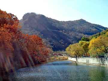 正新澳门二四六天天彩，晶锐论坛